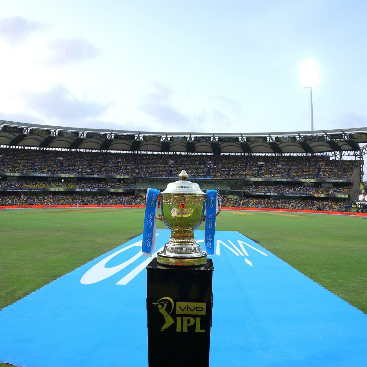 IPL Fans